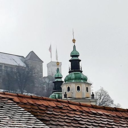 Petkovsek Rooms And Apartments Любляна Екстер'єр фото
