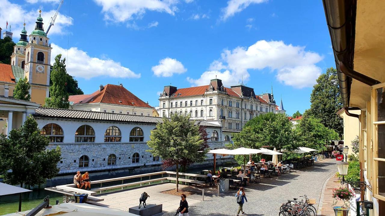 Petkovsek Rooms And Apartments Любляна Екстер'єр фото