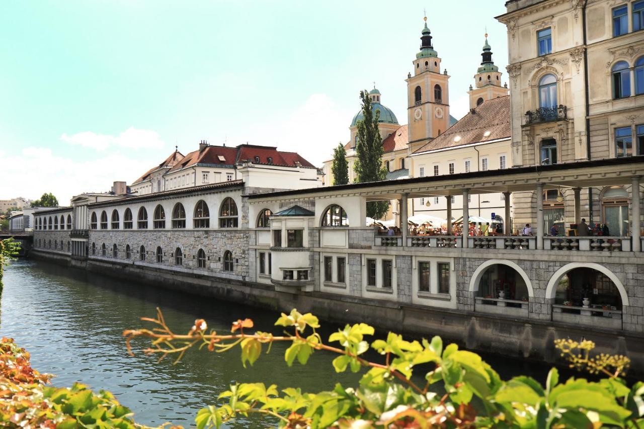 Petkovsek Rooms And Apartments Любляна Екстер'єр фото
