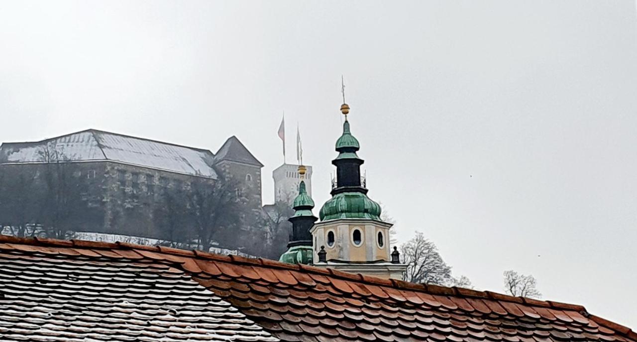 Petkovsek Rooms And Apartments Любляна Екстер'єр фото
